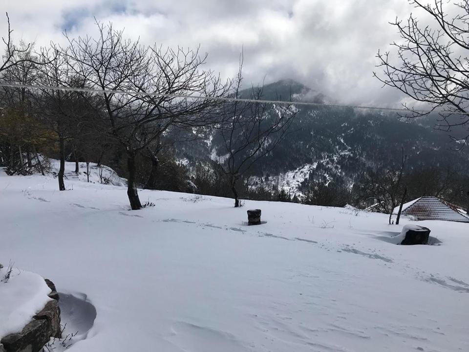 Mikro Katafygio Stavli 外观 照片